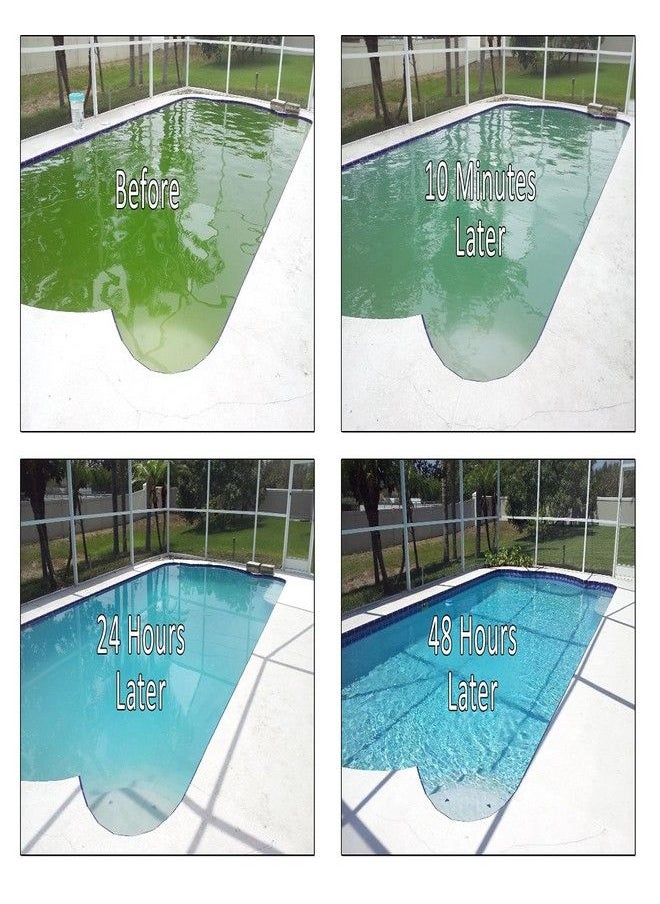 REVIVE! Swimming Pool Phosphate and Algae Remover Chemical for Pools - 32 oz