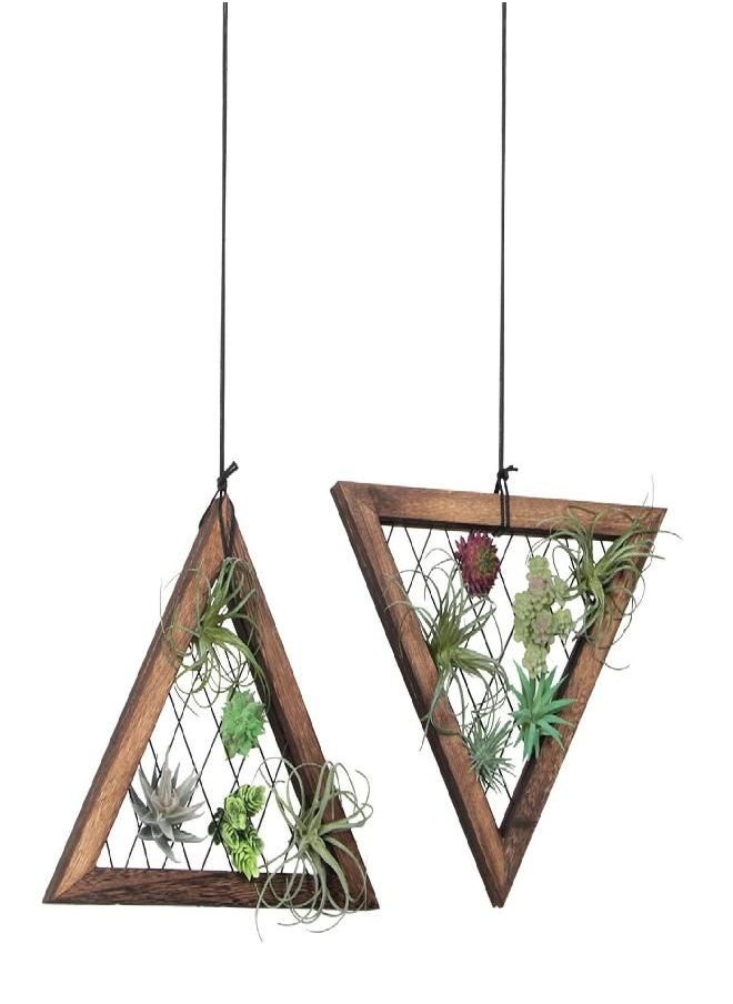 J JACKCUBE DESIGN Air Plant Triangle Frame Hanging Airplant Holder, Rustic Wood Tillandsia, Succulent Plants Display Hanger Shelf for Wall Décor, Set of 2- MK1061A