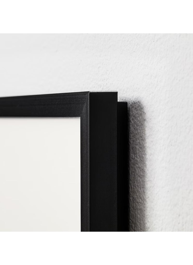 Picture Frame Black Aluminium Plastic & Fibreboard 30x40 cm