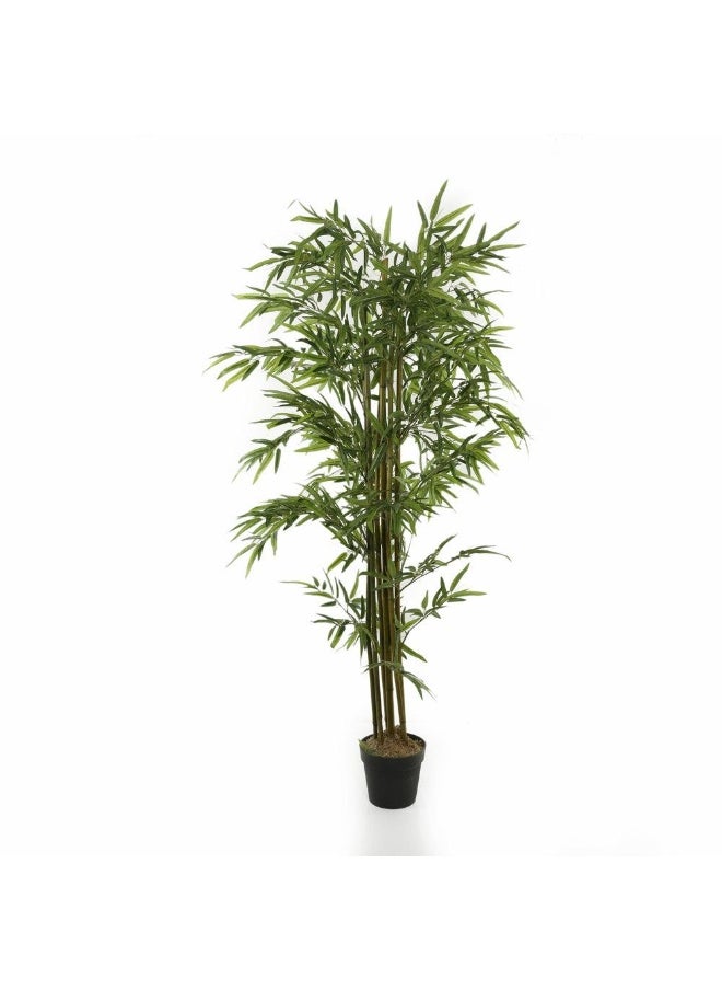 Potted Bamboo Tree Green ‚Ai 180 Cms