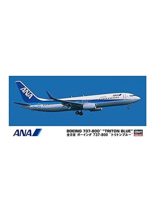 Ana Triton Boeing Model Kit 18inch