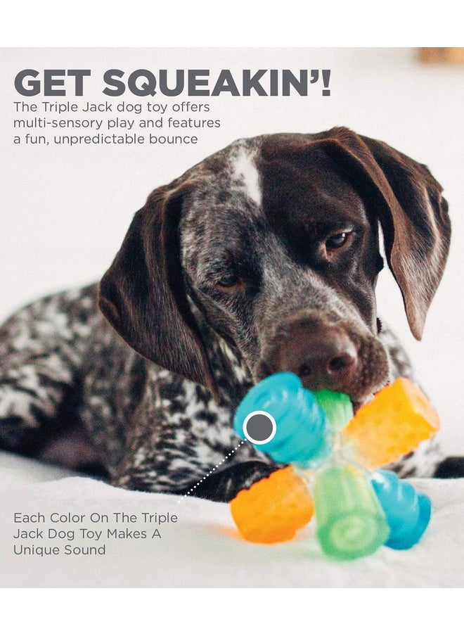 Triple Jack Interactive Multi-Squeak Dog Toy