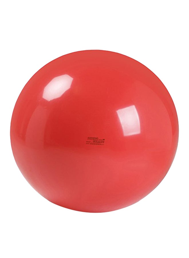 Physio Exercise Ball 12.7X9.25X4.75inch