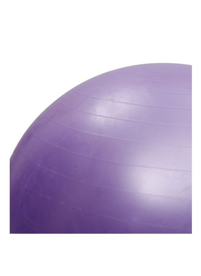 I Care Gym Ball 65Cm