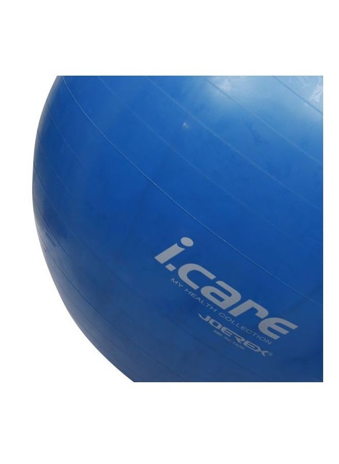 iCare Gym Ball 65cm