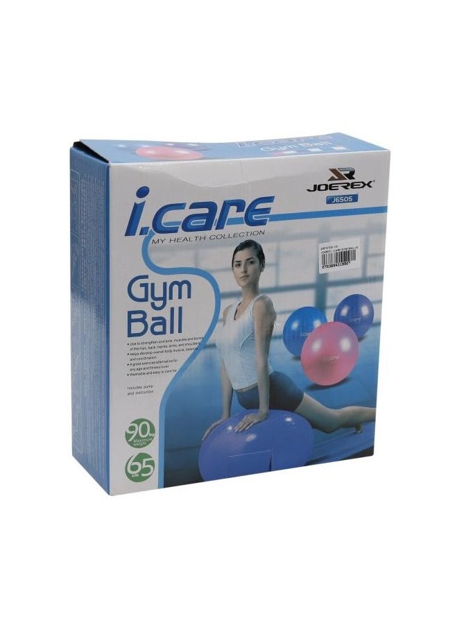 iCare Gym Ball 65cm