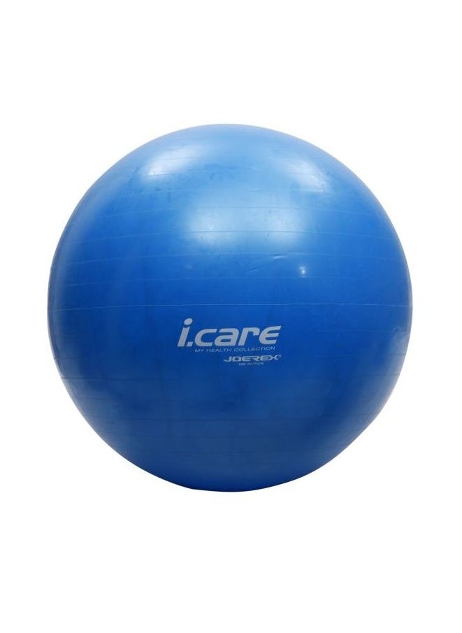 iCare Gym Ball 65cm