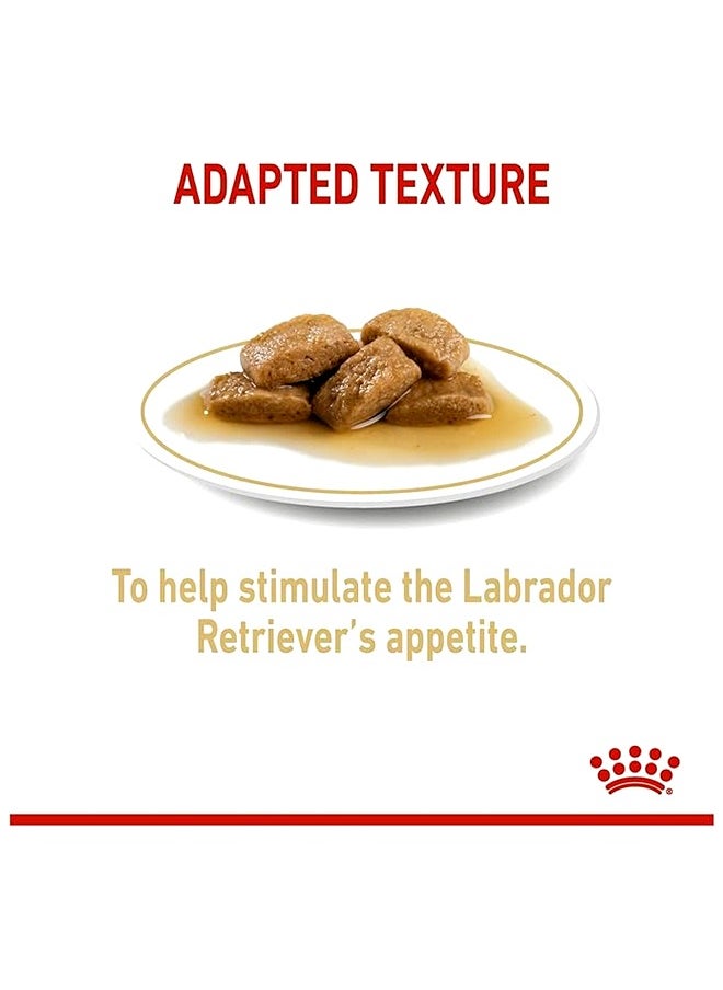 Labrador Retriever Wet Food - 140G (Pack Of 10)