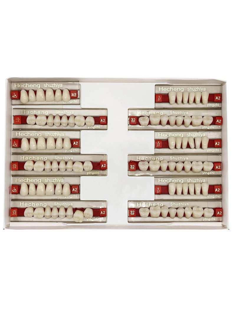 84 Pcs False Teeth Dental Complete Acrylic Resin Denture Teeth, 3 Sets Whole Teeth Synthetic Polymer Denture Tooth, 23 Shade A2 Upper + Lower Dental Materials for Replacement, DIY or Halloween