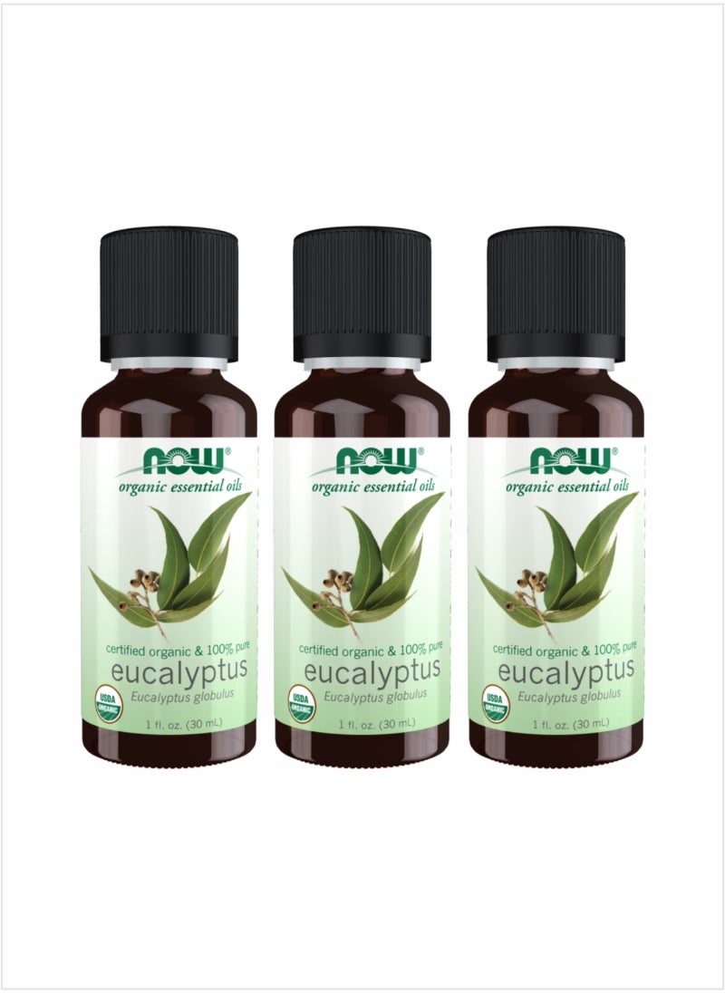 NOW Organic Eucalyptus Essential Oil - Certified Pure Freshness, 30ml (Pack of 3)