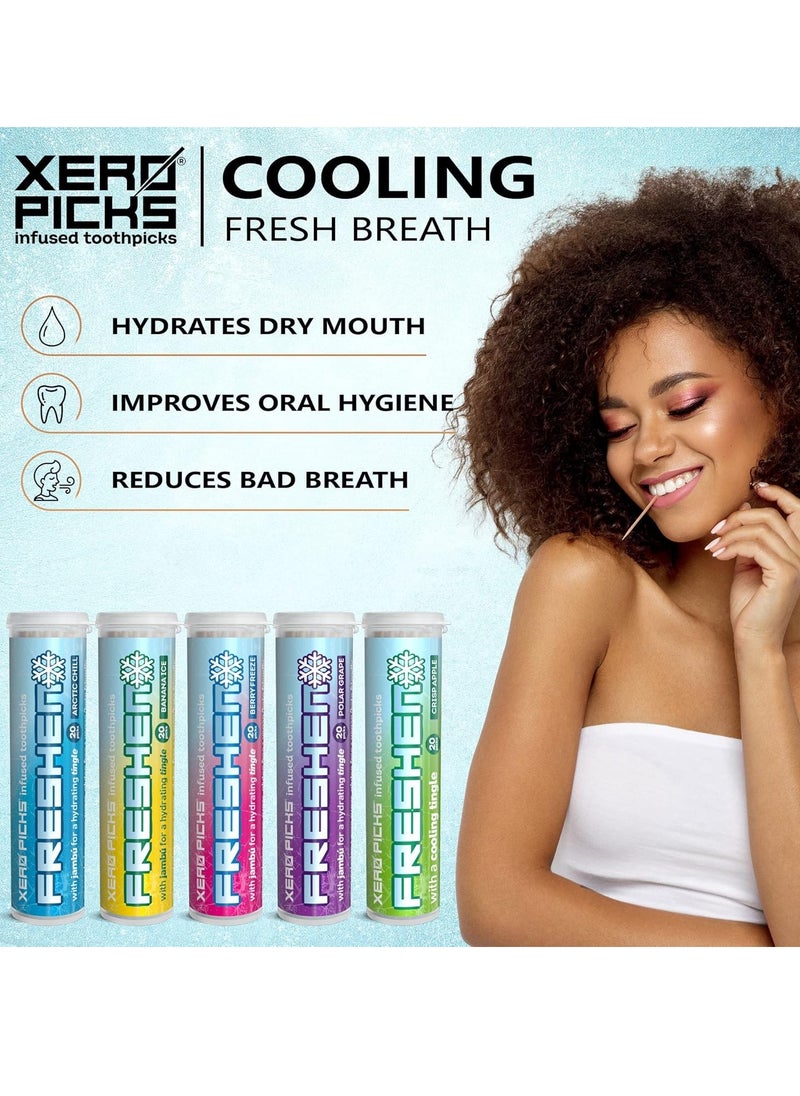 Xero Picks Freshen - Infused Flavored Toothpicks - Cooling Fresh Breath - 100 Picks - 5 Pack - Variety- polar grape, arctic chill, banana ice, berry freeze and crisp apple