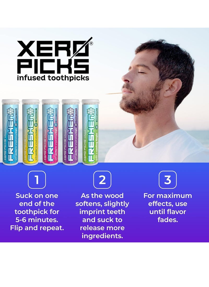 Xero Picks Freshen - Infused Flavored Toothpicks - Cooling Fresh Breath - 100 Picks - 5 Pack - Variety- polar grape, arctic chill, banana ice, berry freeze and crisp apple