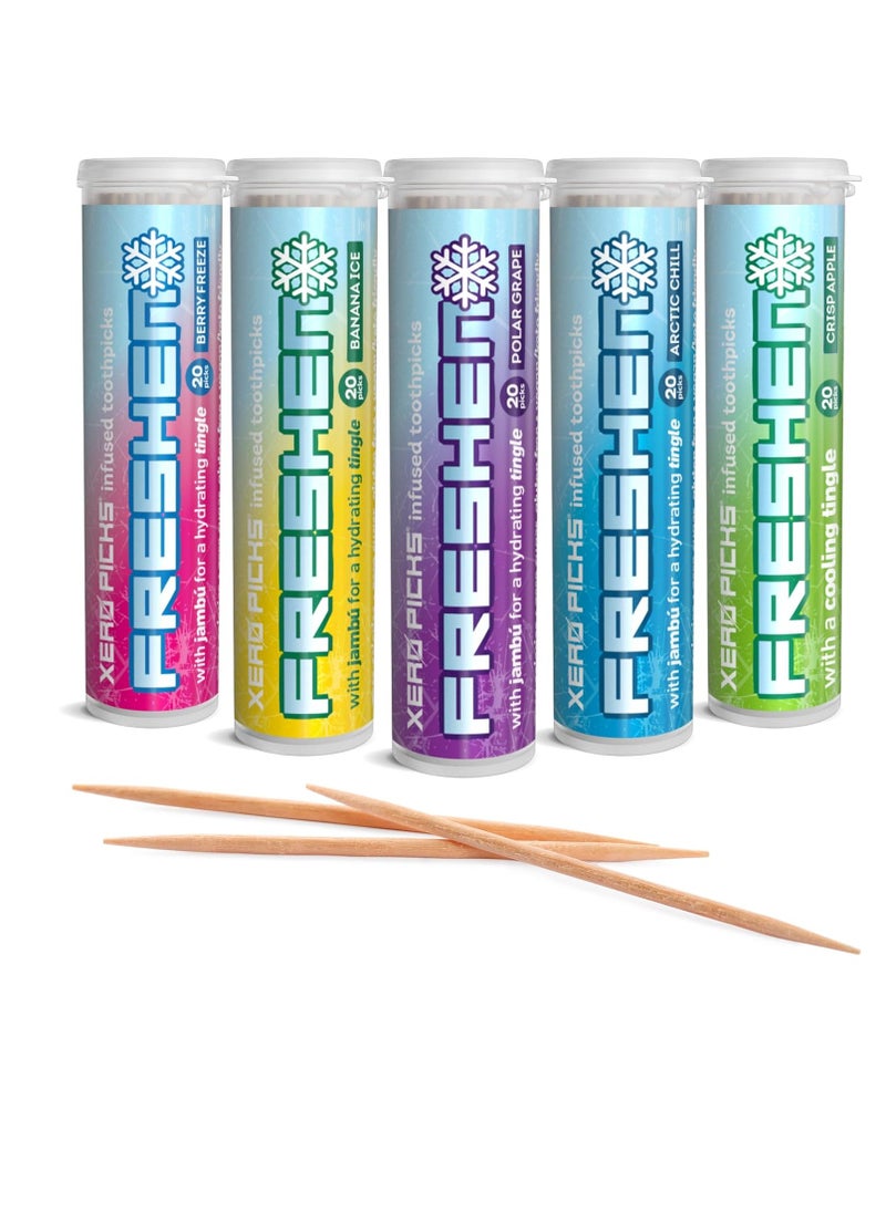 Xero Picks Freshen - Infused Flavored Toothpicks - Cooling Fresh Breath - 100 Picks - 5 Pack - Variety- polar grape, arctic chill, banana ice, berry freeze and crisp apple