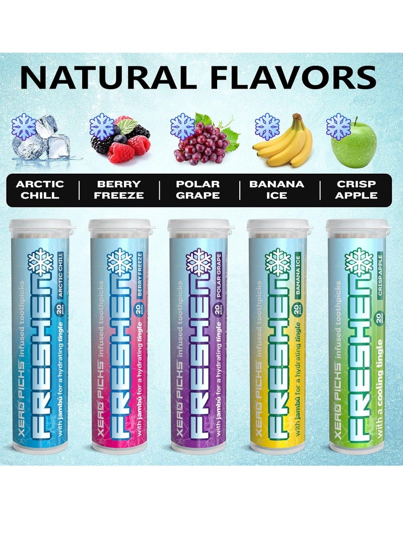 Xero Picks Freshen - Infused Flavored Toothpicks - Cooling Fresh Breath - 100 Picks - 5 Pack - Variety- polar grape, arctic chill, banana ice, berry freeze and crisp apple