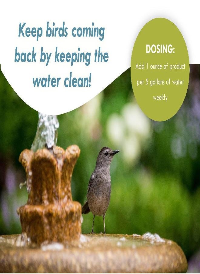 Bird Bath & Fountain Maintenance - (8 Ounces) - Safe Fast-Acting Enzyme-Based Formula Will Extend The Life of Your Water Feature, Aid in Maintaining a Balanced Ecosystem