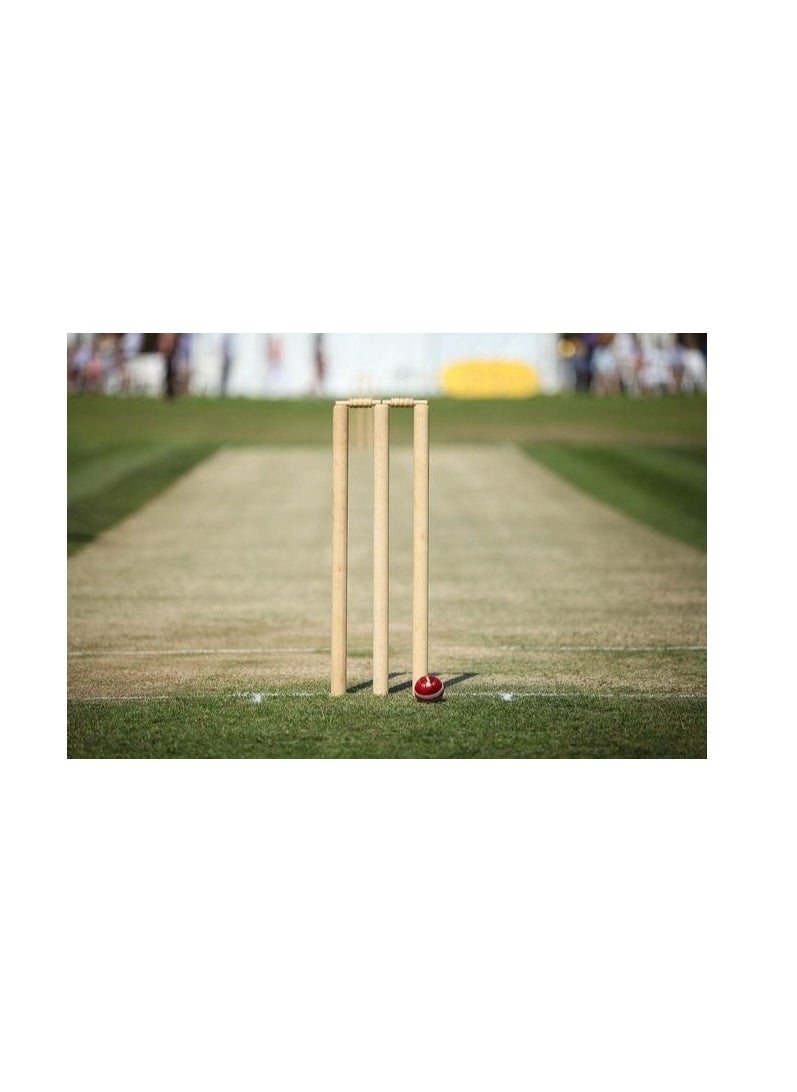 Wooden Cricket Stumps Best Play For Play Grounds cricketers enjoy