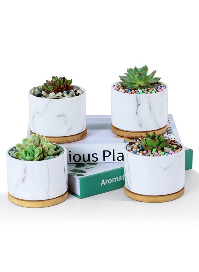 3.5 Inch Ceramic Pot Succulent Pots With Drainage Holes Pots For Succulents Indoor Terracotta Pots Set Of 4 Succulent Planters With Tray Shallow Planter Mini Pots For Plants