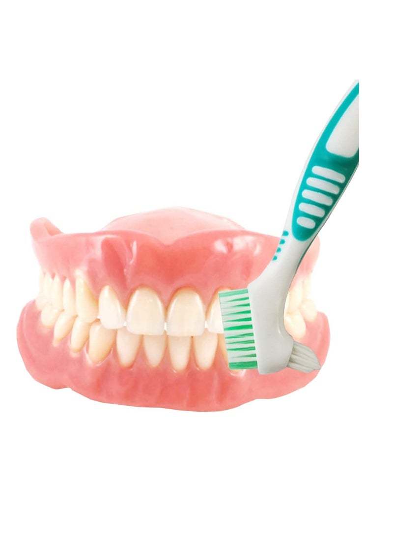 GXXMEI 4PCS Denture Brush Toothbrush Denture Toothbrush Brush Cleaning Brush for False Teeth Cleaning