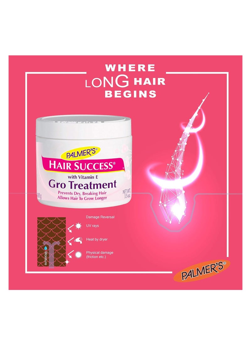 Hair Success Gro Treatment 100 G