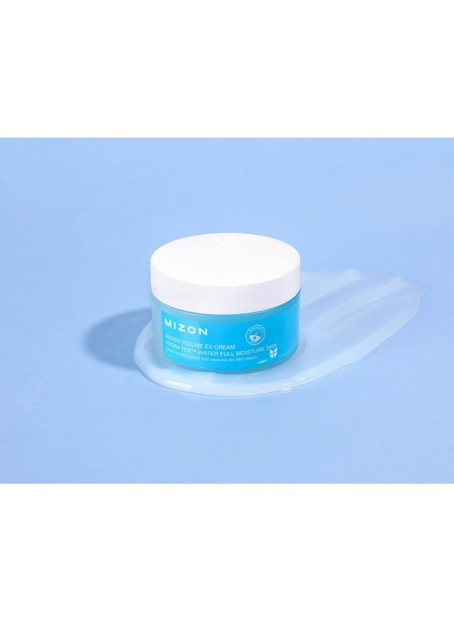 Water Volume Ex Cream, Moisture Cream, Deep Hydration Cream, Soft Skin, Korean Skin Care (100Ml/ 3.38 Fl Oz)