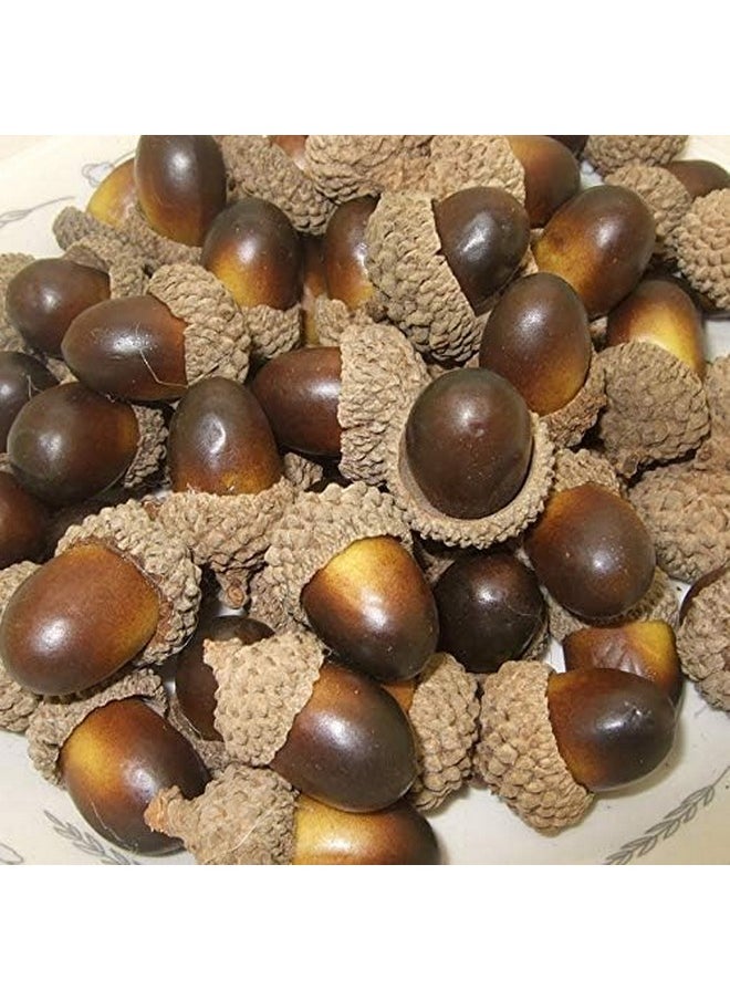 100Pcs Simulation Artificial Lifelike Small Acorn With Natural Acorn Cap For Diy Decoration Crafting Home House Kitchen Decor - Fake Fruit Props Acorns