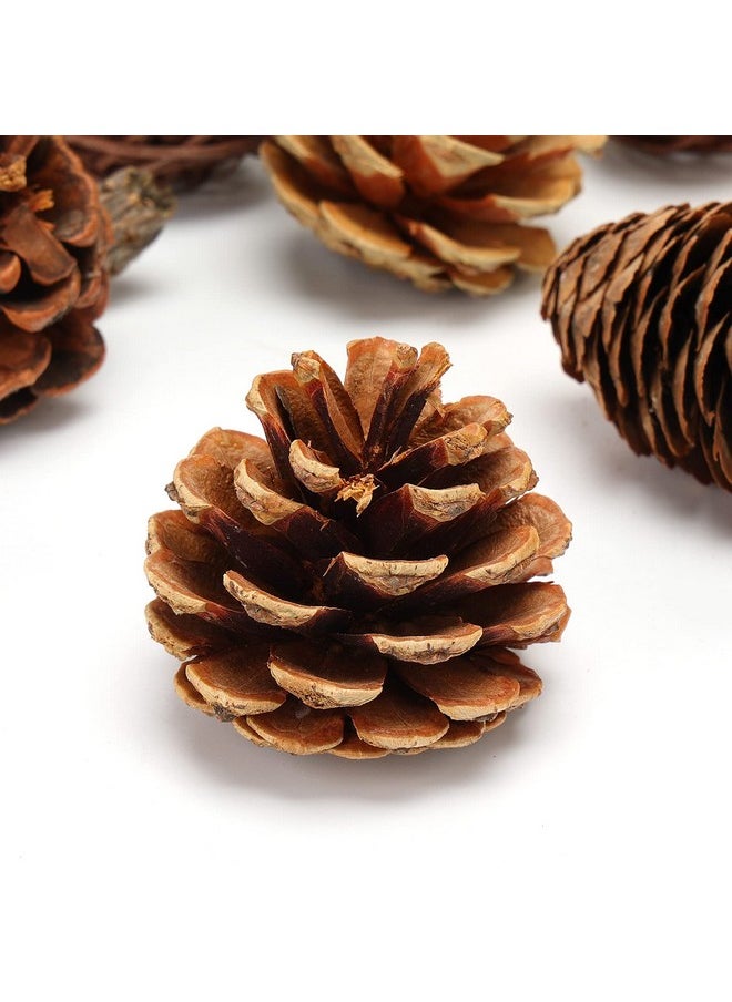 38Pcs Christmas Pine Cone Set, Artificial Acorns Berry Craft And Natural Pinecones Ornament Pine Picks Fake Fruit Decor Fall Decorating Kit