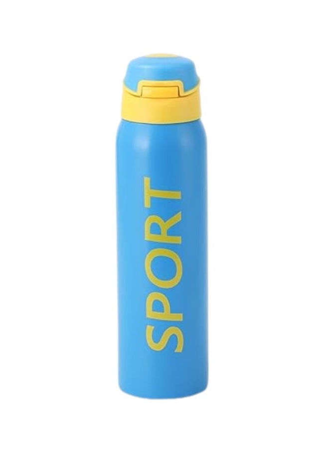 Twisoo Stainless Steel Sports Water Bottle – Vacuum Insulated & Leak Proof (500ml, Blue)