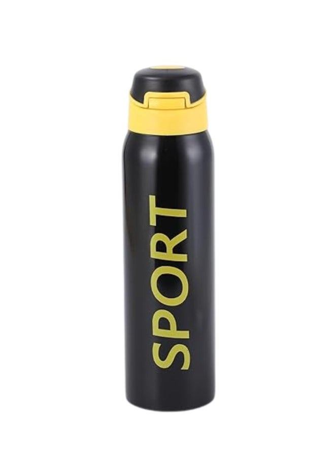 Twisoo Stainless Steel Sports Water Bottle – Vacuum Insulated & Leak Proof (500ml, Black)