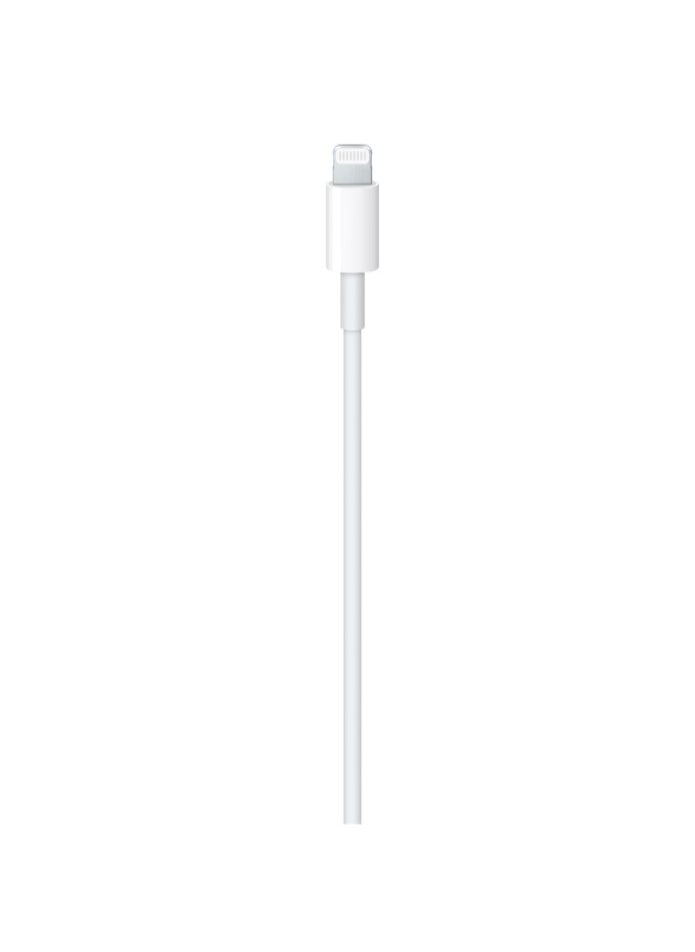 Apple USB-C to Lightning Cable (2 m)