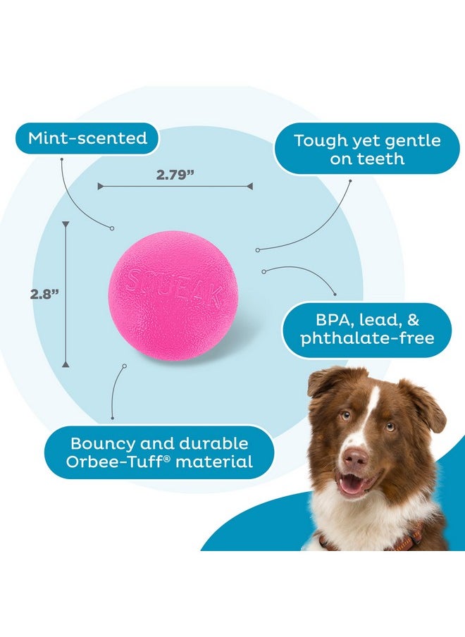 By Planet Dog Squeak Ball Bouncy Fetch Dog Toy, Pink