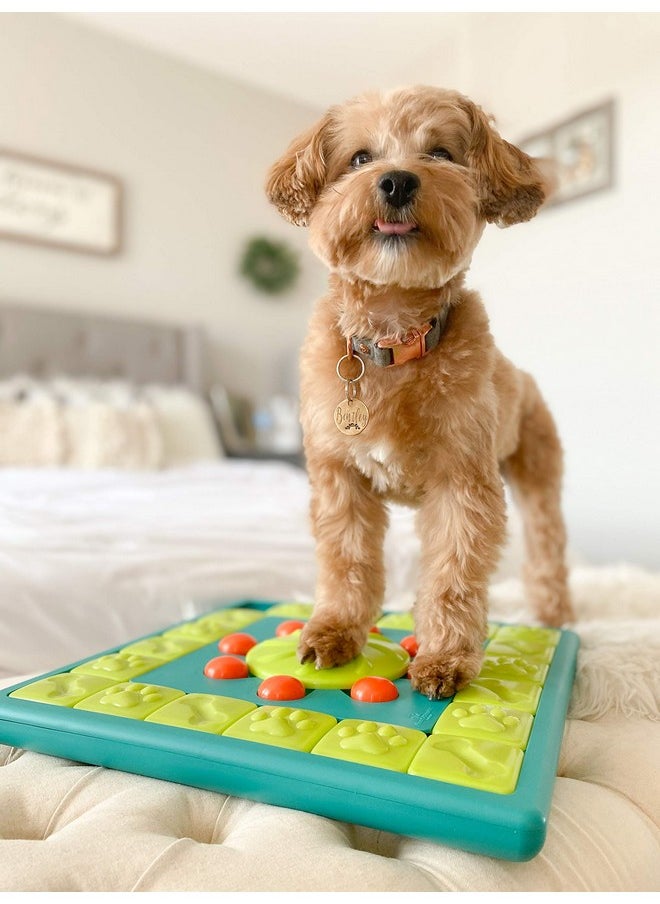 By Nina Ottosson Multipuzzle Level 4 Expert Dog Treat Puzzle For Enrichment, Blue