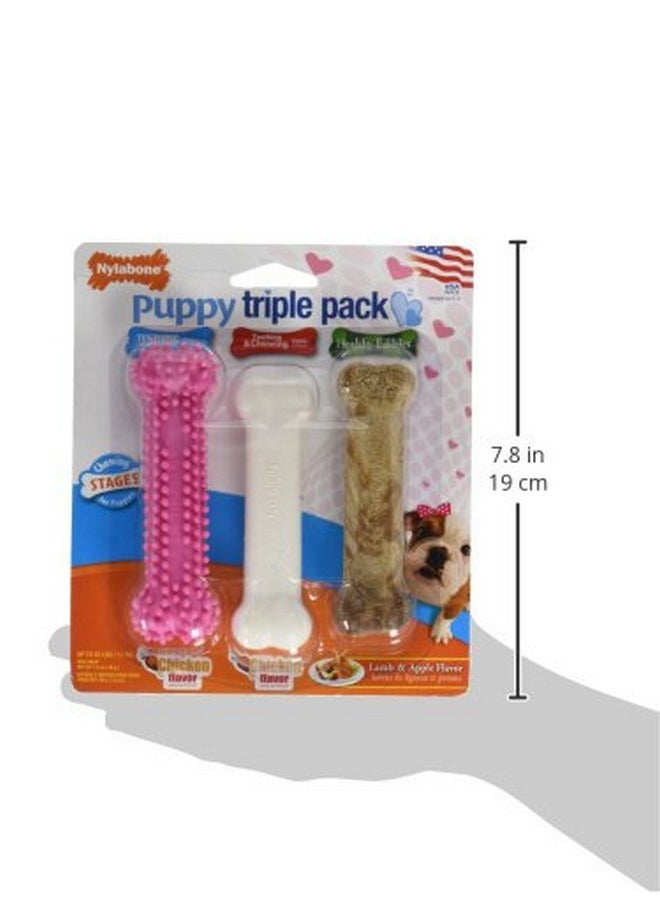 Puppy Triple Pack - Pink Puppy Teething Toy, Nylon Dog Toy, & Chew Treat Variety Pack - Puppy Supplies - Chicken And Bacon Flavors, Small/Regular (3 Count)