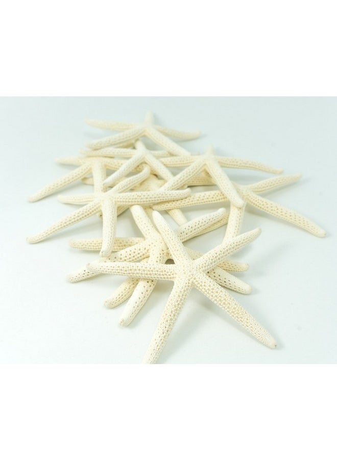 Starfish Decor - Star Fish For Craft - 10Pk Real 3-4