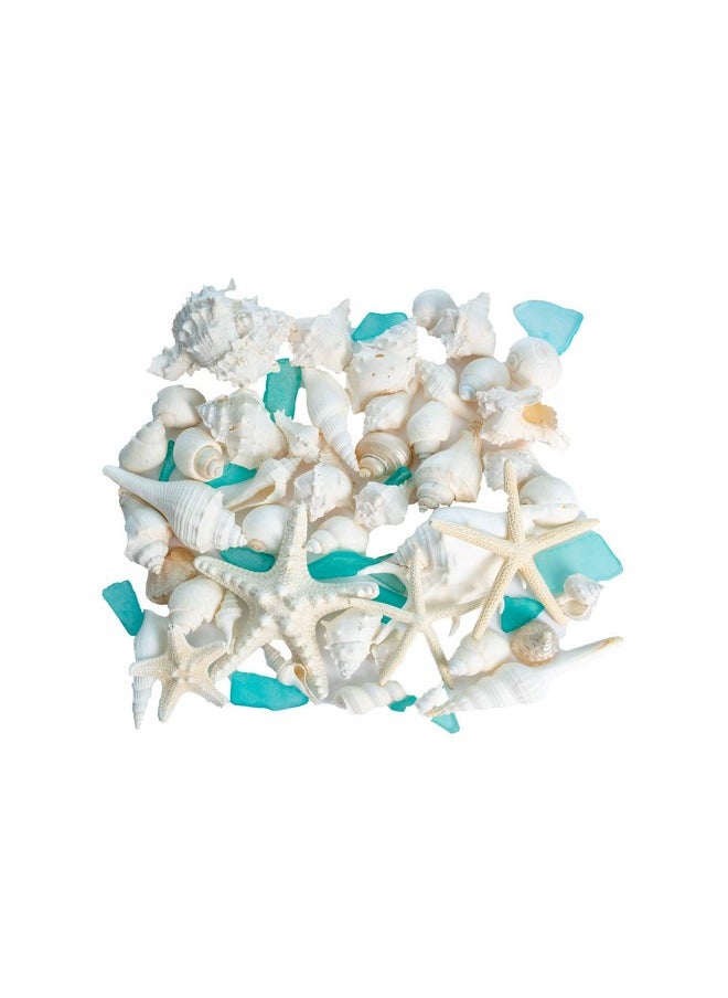 Sea Shells - Real Mixed Beach Seashells With Starfish & Sea Glass (1 Pack) - Shells For Crafts - Ocean Decor - Beach Party Decorations - Seashell Decor - Large Shells Crafts