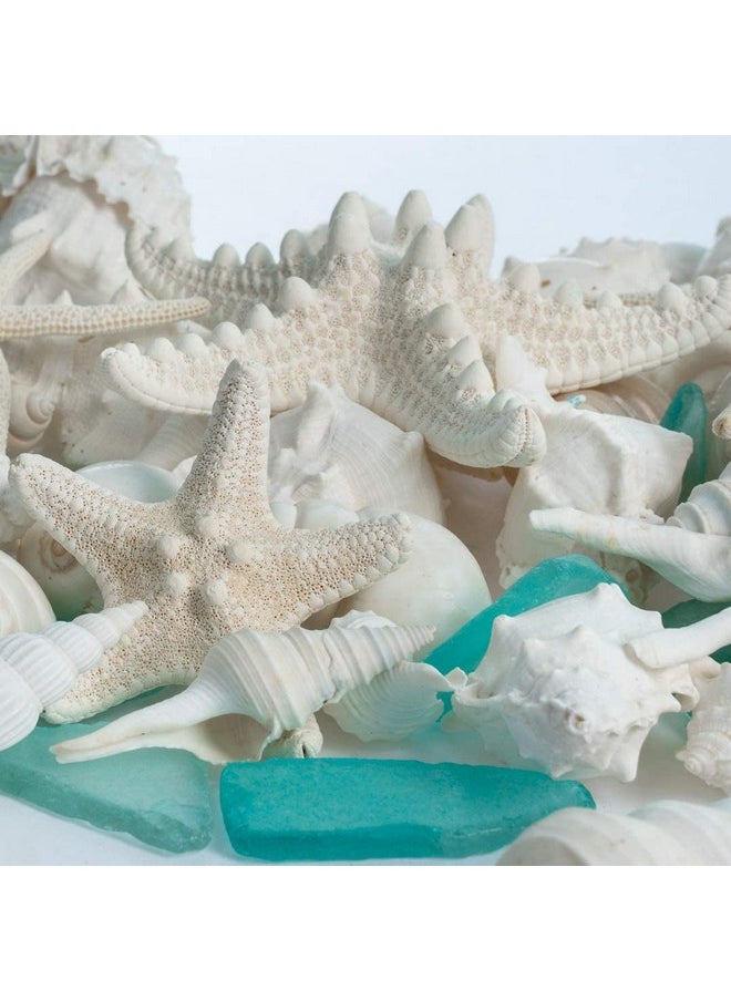 Sea Shells - Real Mixed Beach Seashells With Starfish & Sea Glass (1 Pack) - Shells For Crafts - Ocean Decor - Beach Party Decorations - Seashell Decor - Large Shells Crafts