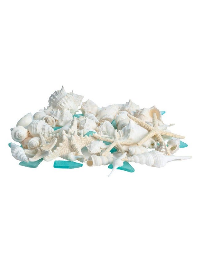 Sea Shells - Real Mixed Beach Seashells With Starfish & Sea Glass (1 Pack) - Shells For Crafts - Ocean Decor - Beach Party Decorations - Seashell Decor - Large Shells Crafts