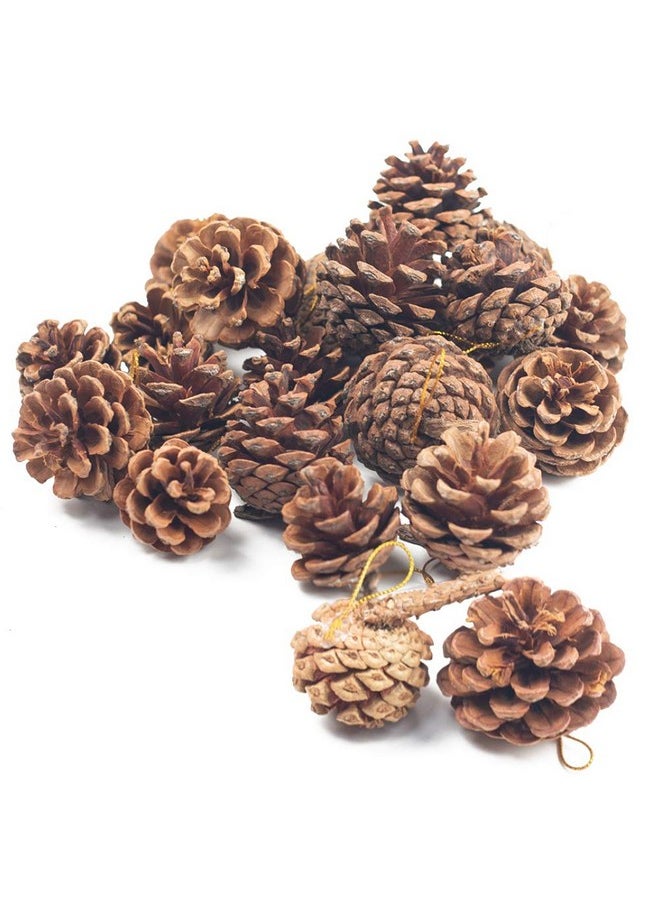 Natural Pine Cones, Christmas Rustic Pinecones Fall Garland Halloween Thanksgiving Decorations, Christmas Tree Fall Ornaments,18 Pcs