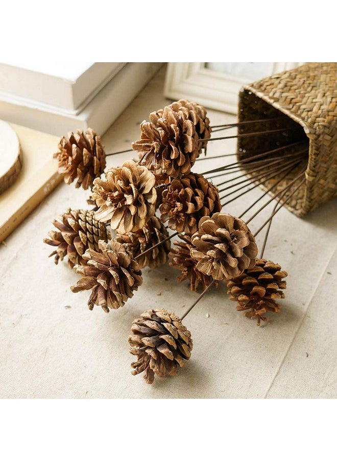 Natural Pine Cones, Christmas Rustic Pinecones Fall Garland Halloween Thanksgiving Decorations, Christmas Tree Fall Ornaments,18 Pcs