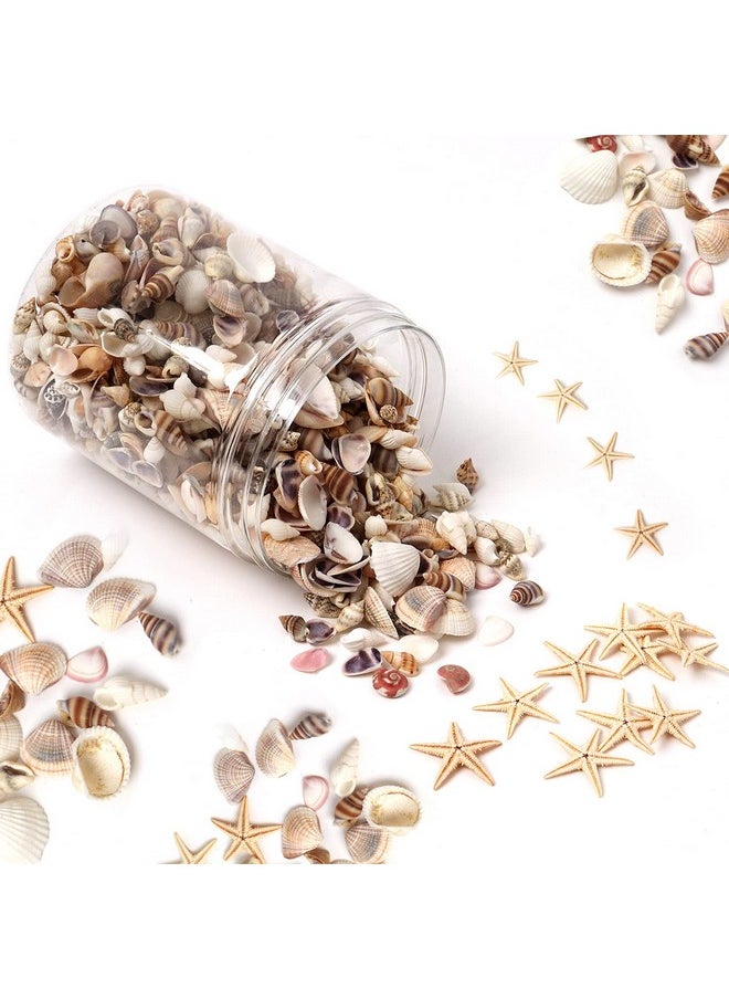 1200 Pieces Tiny Sea Shells Small Natural Starfish Mixed Ocean Beach Spiral Seashells For Home Decorations,Wedding Decor,Candle Making,Beach Theme Party,Diy Crafts And Vase Filler