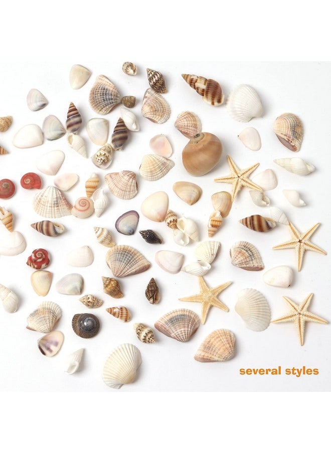 1200 Pieces Tiny Sea Shells Small Natural Starfish Mixed Ocean Beach Spiral Seashells For Home Decorations,Wedding Decor,Candle Making,Beach Theme Party,Diy Crafts And Vase Filler