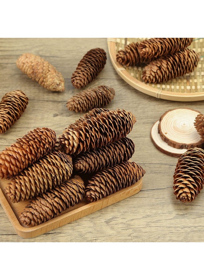 3.5-5Inch Natural Pine Cones, Big Pinecones, Christmas Natural Pinecone Ornaments Big Spruce Pine Cones For Autumn And Winter Decor Christmas Decorations