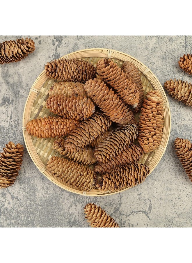 3.5-5Inch Natural Pine Cones, Big Pinecones, Christmas Natural Pinecone Ornaments Big Spruce Pine Cones For Autumn And Winter Decor Christmas Decorations