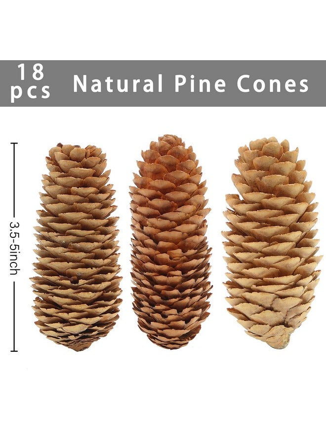 3.5-5Inch Natural Pine Cones, Big Pinecones, Christmas Natural Pinecone Ornaments Big Spruce Pine Cones For Autumn And Winter Decor Christmas Decorations