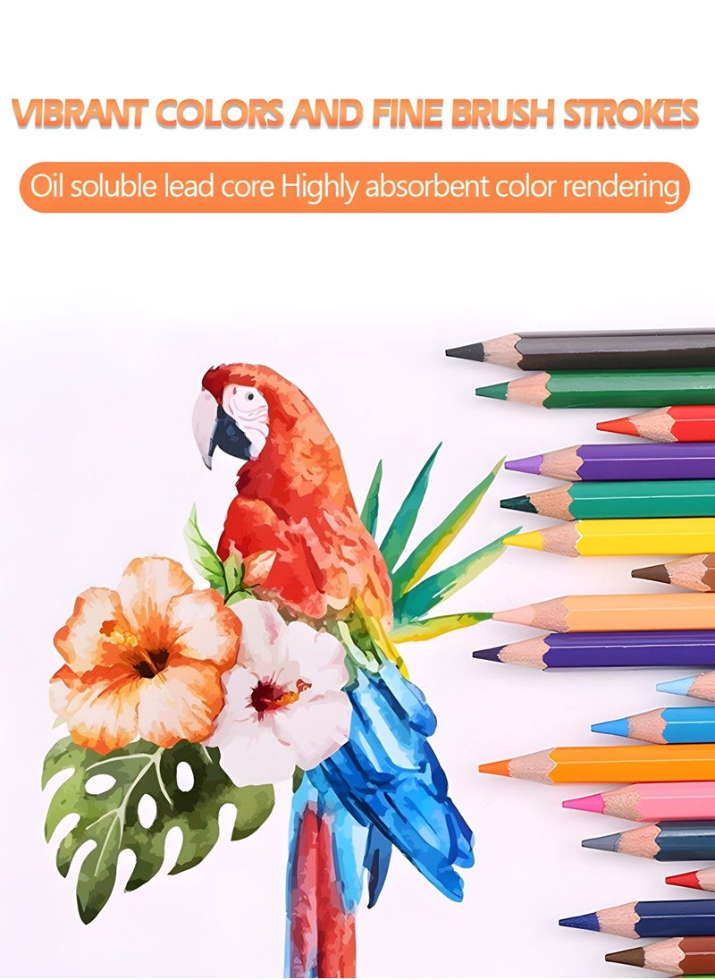 Colored Pencils Set for Adult and Kids Premier Color Pencil with 48 Colouring Sharpener A Picture Album Oil Based Painting