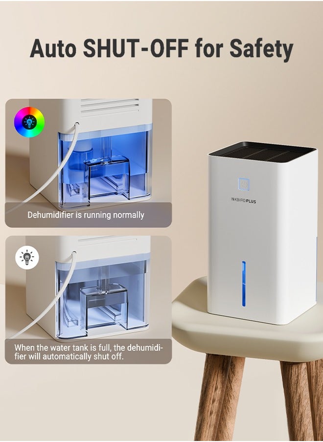 INKBIRDPLUS Upgraded Dehumidifier for Home, 7 Colors Nightlight, 1100 ml Water Tank, Ultra Quiet Sleep Mode, for Wardrobe, Basement, Bathroom, RV, Bedroom, Cabinet, and Spaces up to 3000 CFT