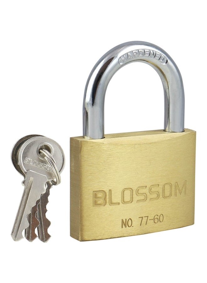 Brass Padlock Gold/Silver 60x10mm