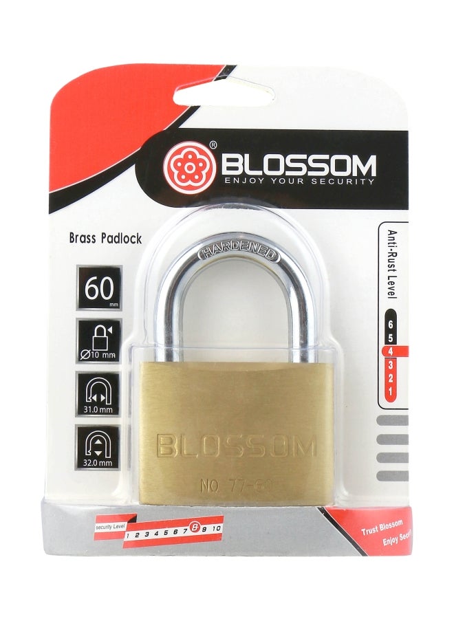 Brass Padlock Gold/Silver 60x10mm