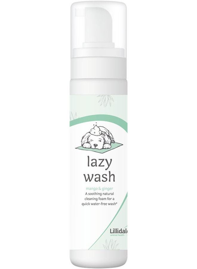 Lazy Wash (No Rinse) - 200ml