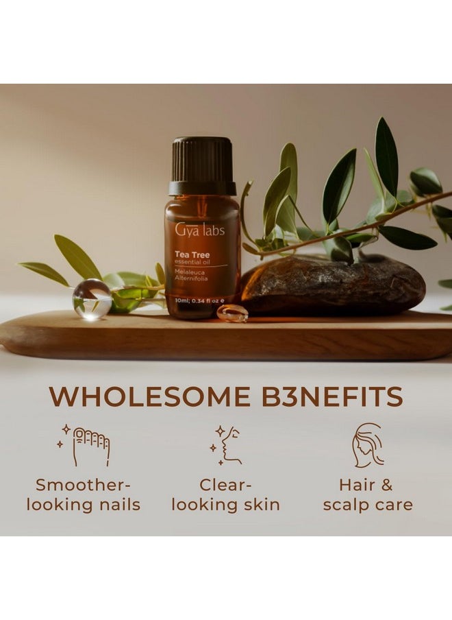 Gya Labs Australian Tea Tree Oil for Skin Hair Face & Toenails - 100% Natural Melaleuca Oil Tea Tree Essential Oil for Piercings Scalp Hair & Candle Making Scent - 100% Pure Oils (0.34 fl oz)