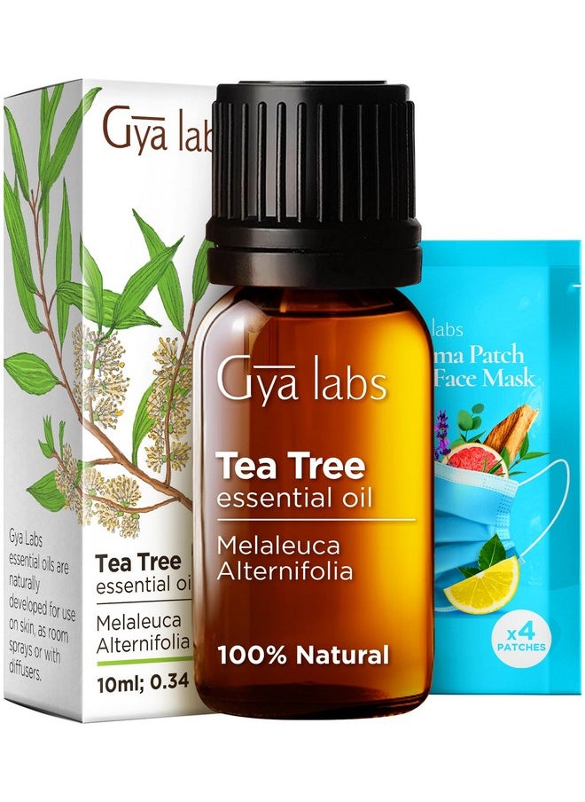 Gya Labs Australian Tea Tree Oil for Skin Hair Face & Toenails - 100% Natural Melaleuca Oil Tea Tree Essential Oil for Piercings Scalp Hair & Candle Making Scent - 100% Pure Oils (0.34 fl oz)